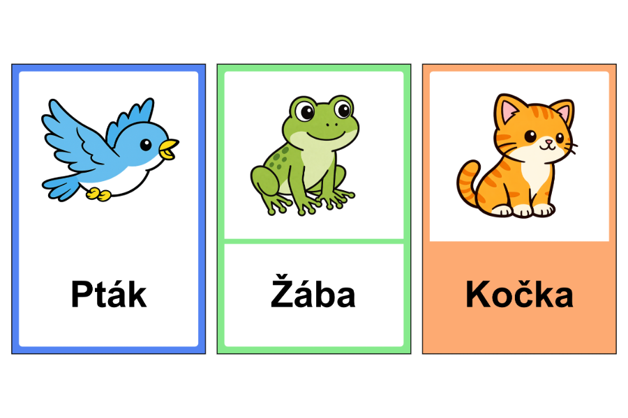 Ukázka výukových kartiček s obrázky